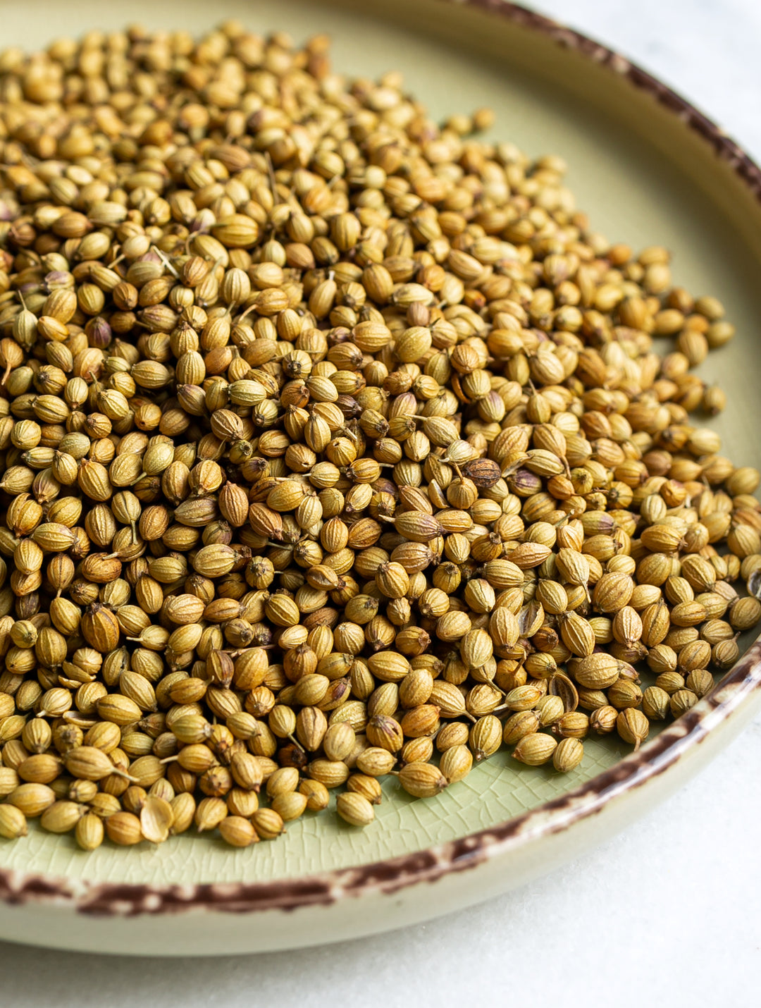 Eastern Coriander Seeds
