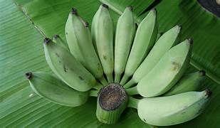 Raw bananas/Plaintains