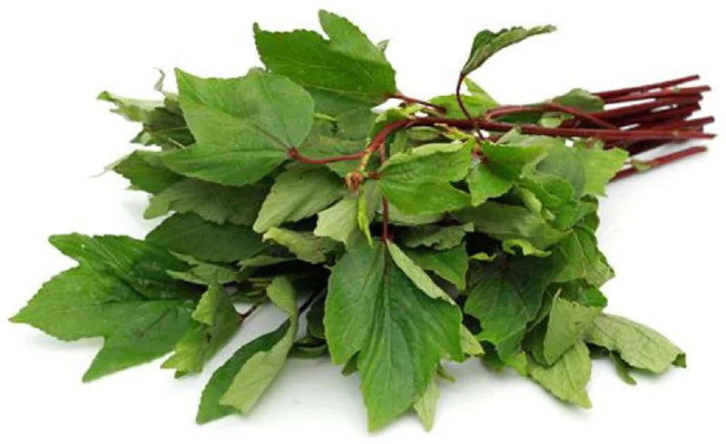 Fresh Gongura leaves