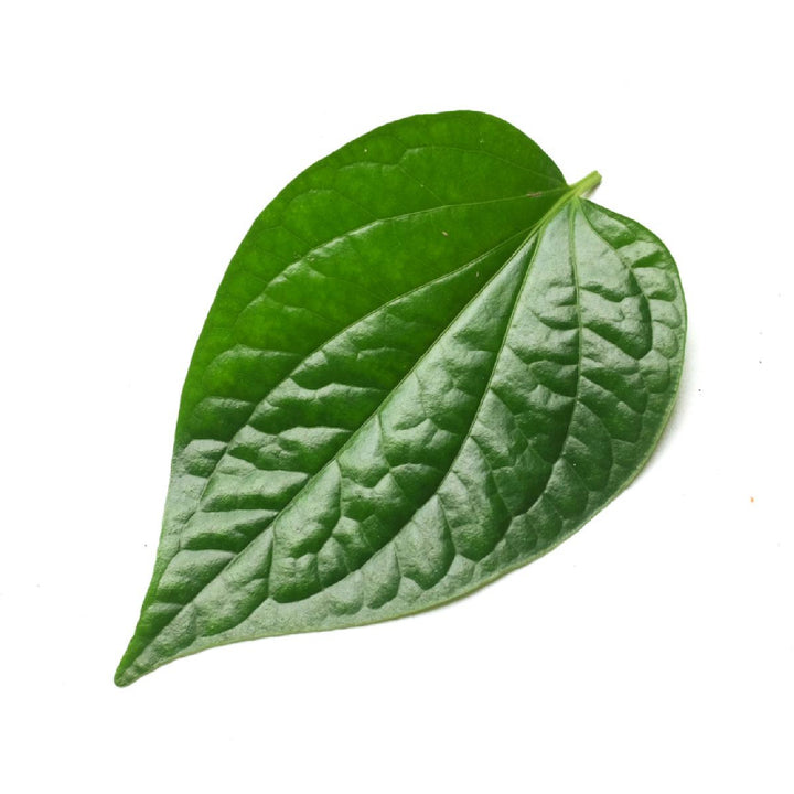 Pan Leaf 10 pieces