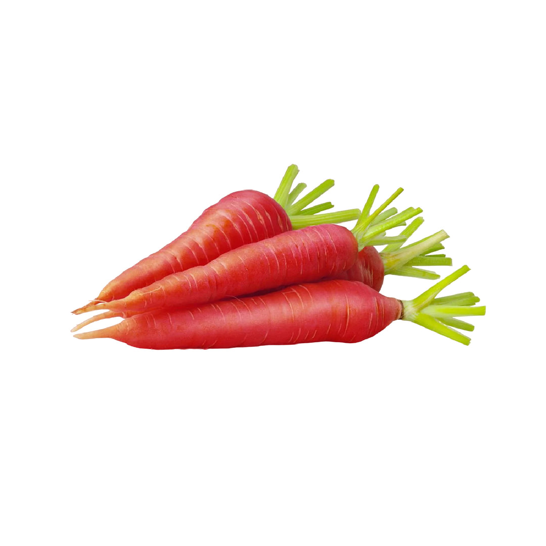 Indian red carrots